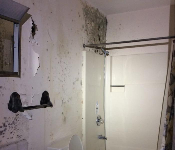 Mold Damage Killington, Vermont