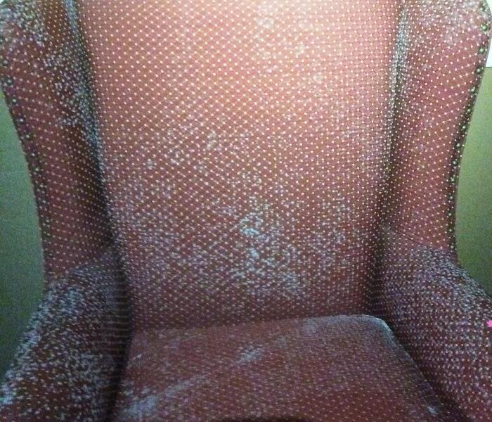 Mold Growth after Water Damage