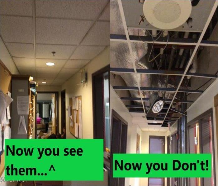 Before and After Ceiling Tile Removal